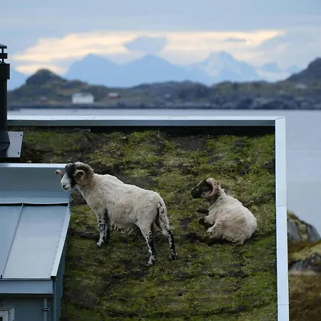 Historic Building On Kjeoya In Lofoten 別荘 *